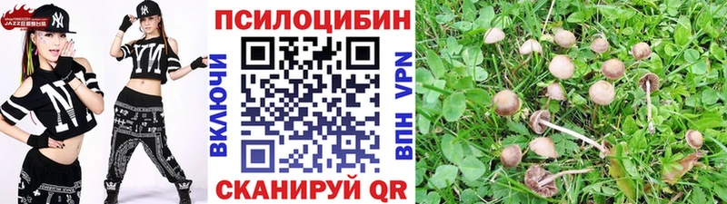 OMG зеркало  Новосиль  Галлюциногенные грибы Psilocybine cubensis 